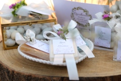 P1027630.00_00_00_01.Immagine002