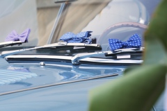 P1027737.00_00_00_04.Immagine007