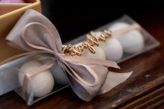 P1027737.00_00_00_17.Immagine040